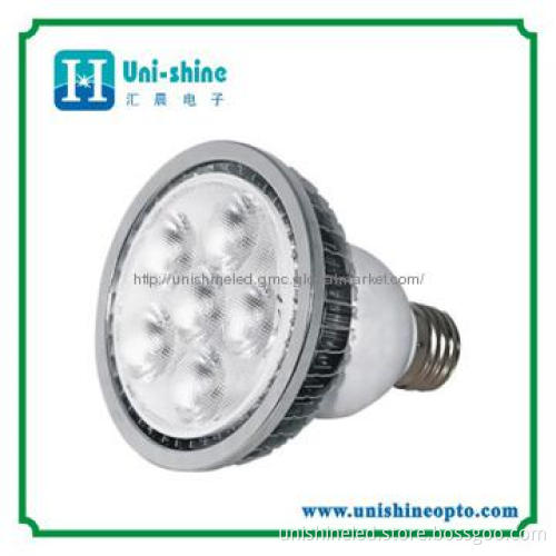12W PAR30 LED Spot Light